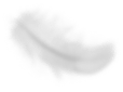 Feather