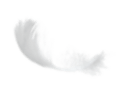 Feather