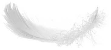 Feather