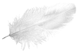 Feather